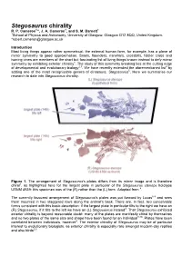 Stegosaurus Chirality R