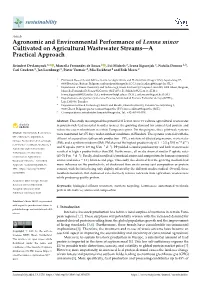 Agronomic and Environmental Performance of Lemna Minor Cultivated on Agricultural Wastewater Streams—A Practical Approach
