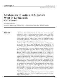 Mechanism of Action of St John's Wort in Depression