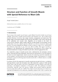 Structure and Function of Smooth Muscle with Special Reference to Mast Cells