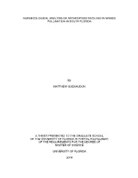 University of Florida Thesis Or Dissertation Formatting