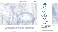 Anatomy of Small Intestine Doctors Notes Notes/Extra Explanation Please View Our Editing File Before Studying This Lecture to Check for Any Changes