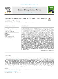 Eulerian–Lagrangian Method for Simulation of Cloud Cavitation ∗ Kazuki Maeda , Tim Colonius