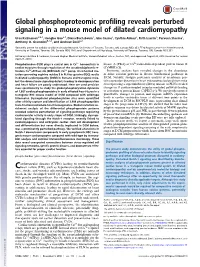 Global Phosphoproteomic Profiling Reveals Perturbed Signaling in a Mouse Model of Dilated Cardiomyopathy