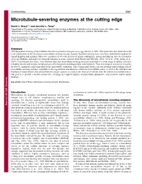 Microtubule-Severing Enzymes at the Cutting Edge