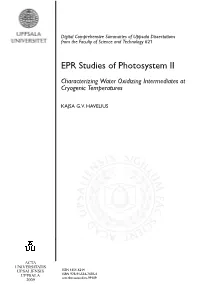 EPR Studies of Photosystem II