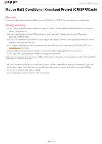 Mouse Eaf2 Conditional Knockout Project (CRISPR/Cas9)