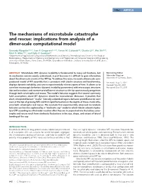 The Mechanisms of Microtubule Catastrophe and Rescue: Implications from Analysis of a Dimer-Scale Computational Model