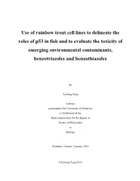 Use of Rainbow Trout Cell Lines to Delineate the Roles of P53 in Fish