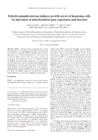 Dehydroepiandrosterone Induces Growth Arrest of Hepatoma Cells Via Alteration of Mitochondrial Gene Expression and Function