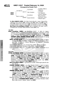 GREY COLT Foaled February 14, 2020
