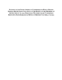 Petition to the Inter-American Commission