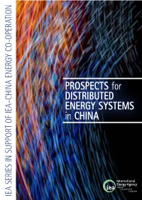 Prospect of Distributed Energy Systems in China
