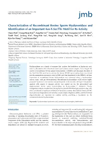 Characterization of Recombinant Bovine Sperm Hyaluronidase And