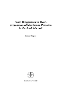 Expression of Membrane Proteins in Escherichia Coli