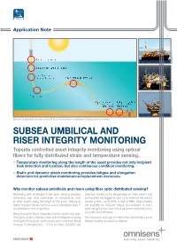Subsea Umbilical and Riser Integrity Monitoring