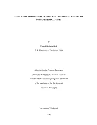 THE ROLE of HOXD10 in the DEVELOPMENT of MOTONEURONS in the POSTERIOR SPINAL CORD by Veeral Shailesh Shah B.S., University of Pi