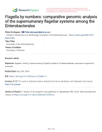 Comparative Genomic Analysis of the Supernumerary Fagellar Systems Among the Enterobacterales