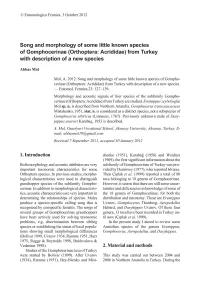 Orthoptera: Acrididae) from Turkey with Description of a New Species