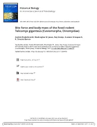 Bite Force and Body Mass of the Fossil Rodent Telicomys Giganteus (Caviomorpha, Dinomyidae)