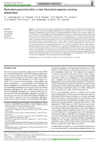 &lt;I&gt;Pyricularia&lt;/I&gt; Species Causing Wheat Blast