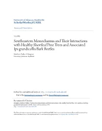 Southeastern Monochamus and Their Interactions with Healthy Shortleaf Pine Trees and Associated Ips Grandicollis Bark Beetles