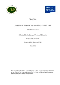 Thesis Style Document
