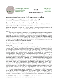 A New Species and a New Record of Diatrypaceae from Iran