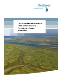 Calabazas-San Tomas Aquino Pond A8 Reconnection: Preliminary Scenario Simulations