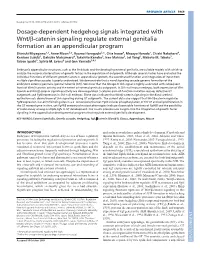 Catenin Signaling Regulate External Genitalia Formation As an Appendic