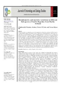 Morphometric and Meristic Variations in Different Fish Species of Family