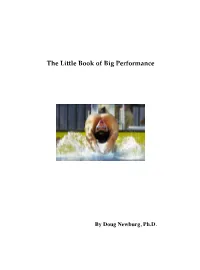 The Little Book of Big Performance