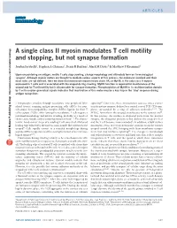 A Single Class II Myosin Modulates T Cell Motility and Stopping, but Not Synapse Formation