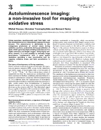 Autoluminescence Imaging: a Non-Invasive Tool for Mapping Oxidative Stress