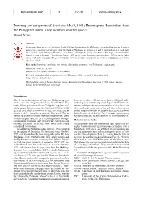 (Hymenoptera: Formicidae) from the Philippine Islands, a Key and Notes on Other Species