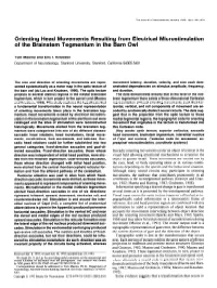 Orienting Head Movements Resulting from Electrical Microstimulation of the Brainstem Tegmentum in the Barn Owl