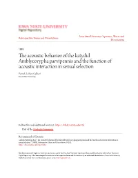 The Acoustic Behavior of the Katydid Amblycorypha Parvipennis and the Function of Acoustic Interaction in Sexual Selection