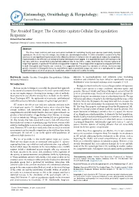The Ceratitis Capitata Cellular Encapsulation Response Richard Paul Sorrentino*