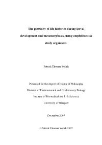 Thesis Body-No Codes-Final