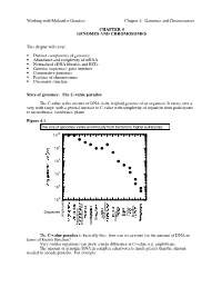 Working with Molecular Genetics Chapter 4: Genomes and Chromosomes CHAPTER 4 GENOMES and CHROMOSOMES