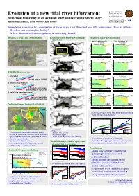 Evolution of a New Tidal River Bifurcation: Dept