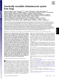 Genetically Encodable Bioluminescent System from Fungi