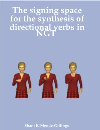 The Signing Space for the Synthesis of Directional Verbs in NGT