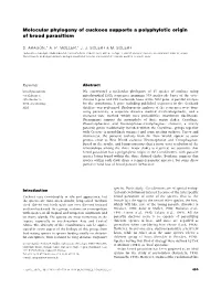 Molecular Phylogeny of Cuckoos Supports a Polyphyletic Origin of Brood Parasitism