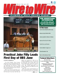 Practical Joke Filly Leads First Day of OBS June