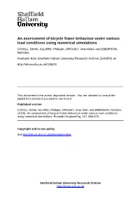 An Assessment of Bicycle Frame Behaviour Under Various Load