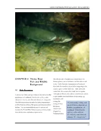 CHAPTER 3 Trinity River Fish and Wildlife Background