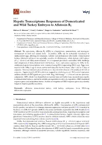Hepatic Transcriptome Responses of Domesticated and Wild Turkey Embryos to Aﬂatoxin B1