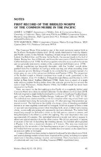 NOTES First Record of the Bridled Morph of the Common Murre in the Pacific Annie E