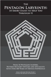 The Pentagon Labyrinth Aims to Help Both Newcomers and Seasoned Observers Learn How to Grapple with the Problems of National Defense